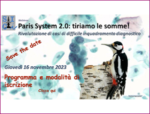 Webinar SICi - Paris System 2.0: tiriamo le somme!